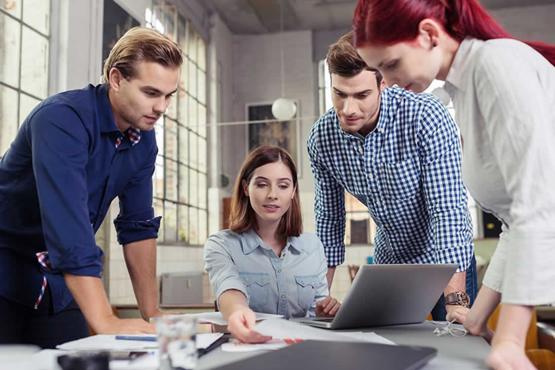 Web design services in Auckland